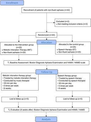 Effectiveness of Melodic Intonation Therapy in Chinese Mandarin on Non-fluent Aphasia in Patients After Stroke: A Randomized Control Trial